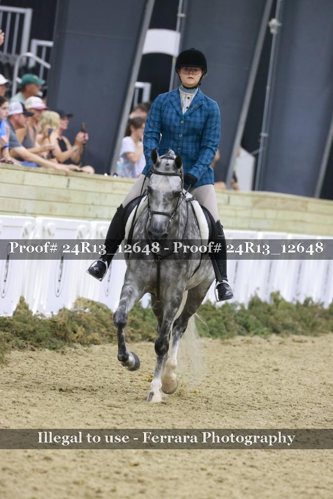 Proof 24R13_12648