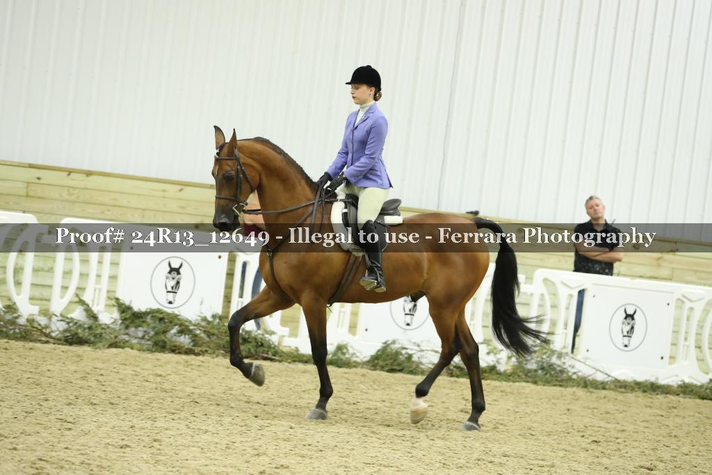 Proof 24R13_12649