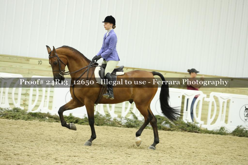 Proof 24R13_12650