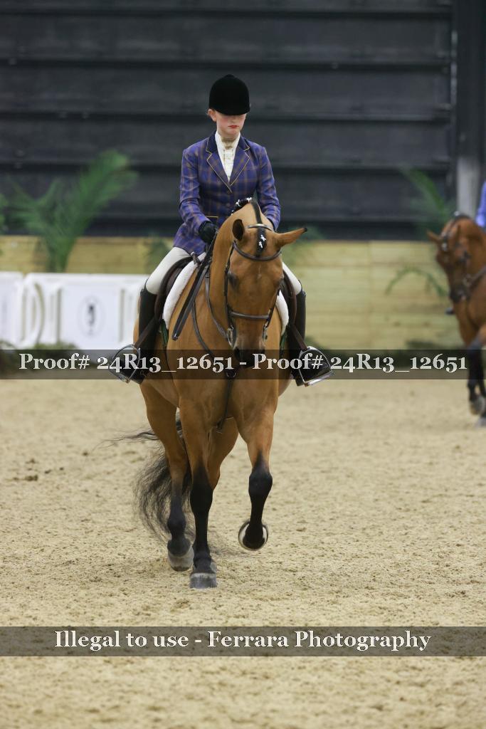 Proof 24R13_12651