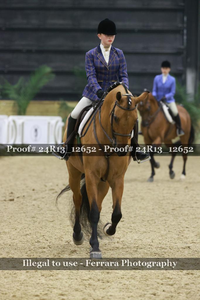 Proof 24R13_12652