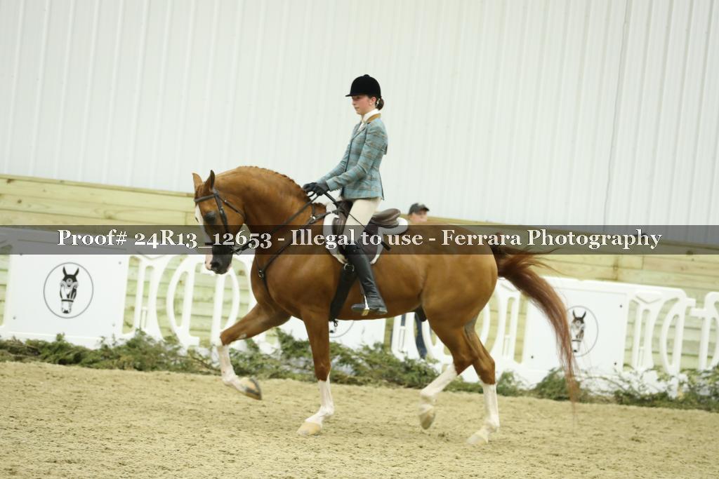 Proof 24R13_12653