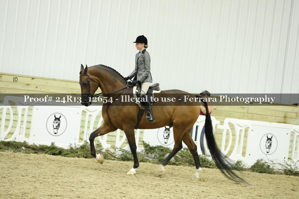 Proof 24R13_12654
