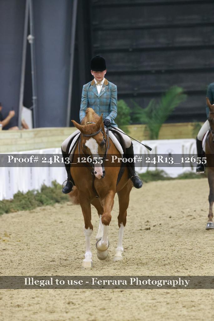Proof 24R13_12655