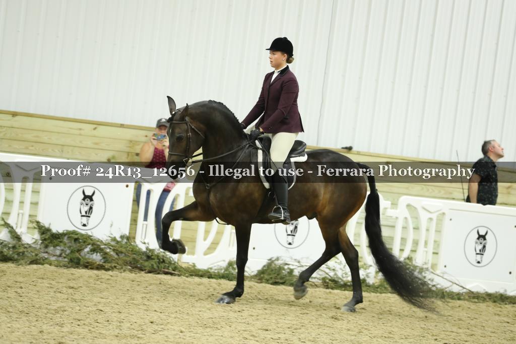 Proof 24R13_12656