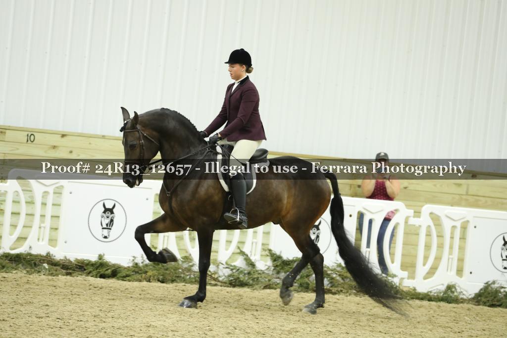 Proof 24R13_12657