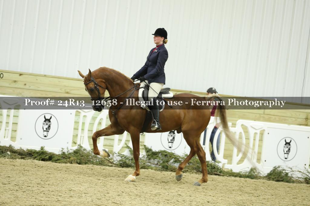 Proof 24R13_12658