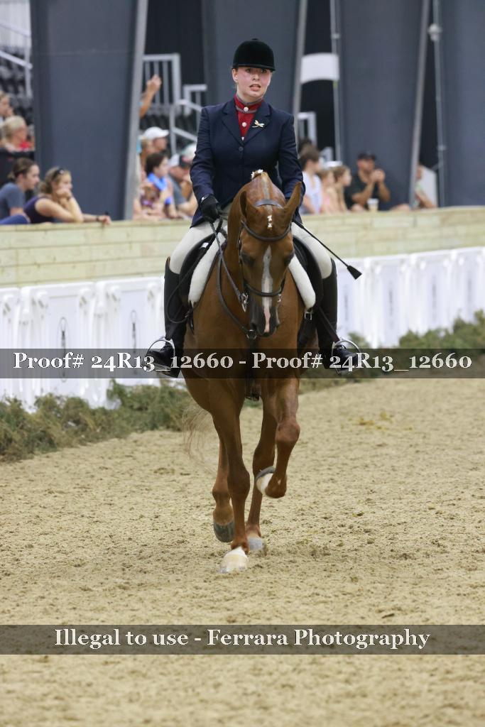 Proof 24R13_12660