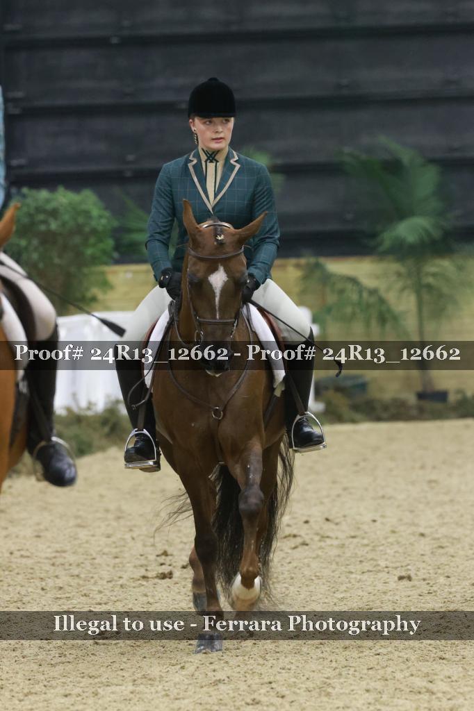 Proof 24R13_12662