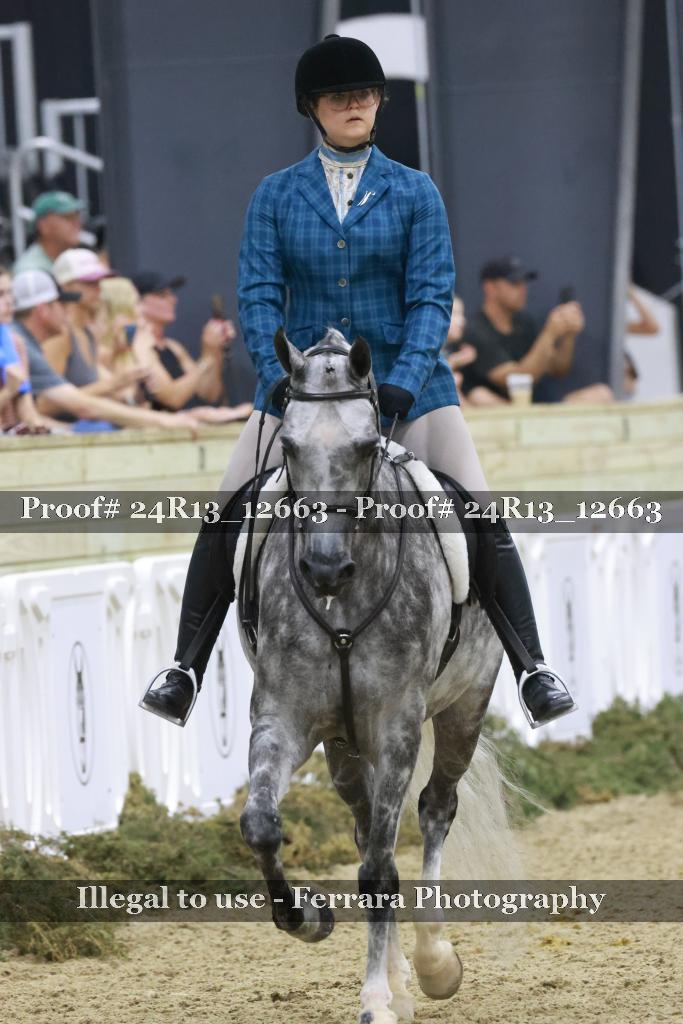 Proof 24R13_12663