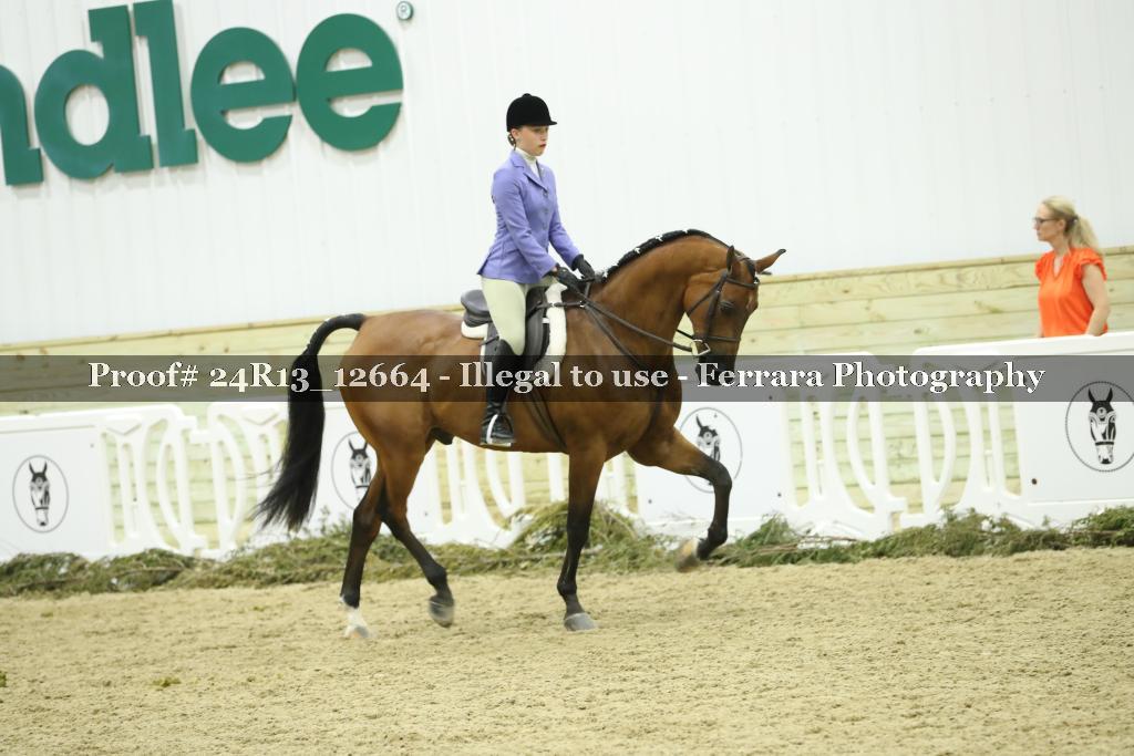 Proof 24R13_12664