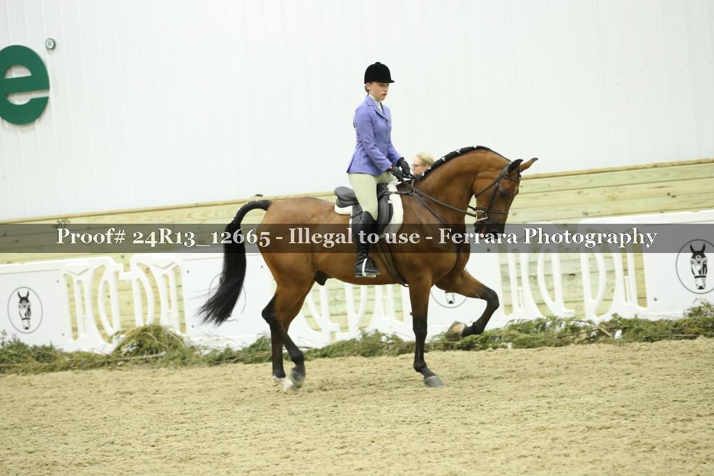 Proof 24R13_12665