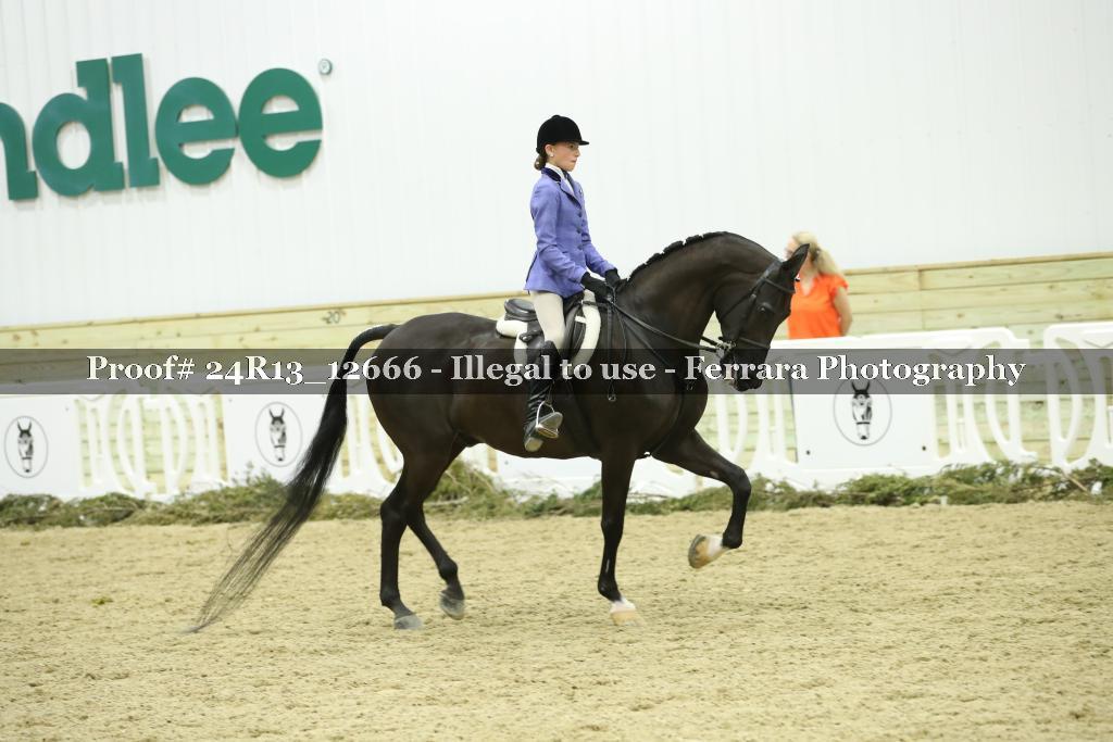 Proof 24R13_12666