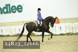 24R13_12666 proof