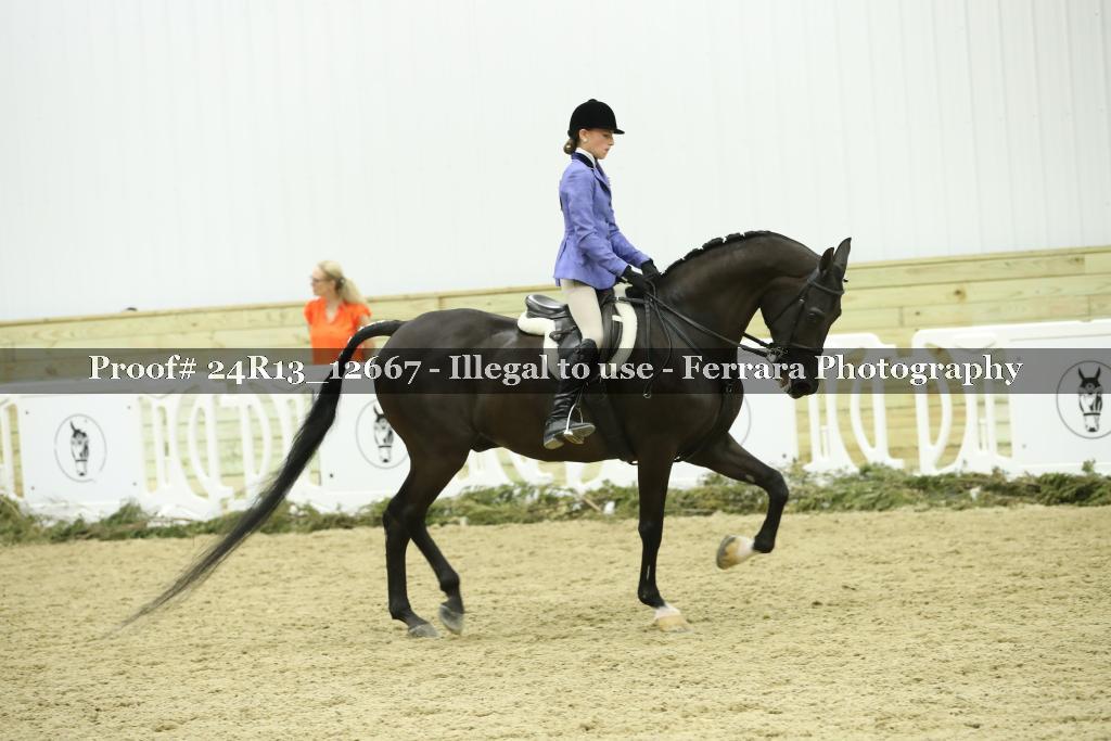 Proof 24R13_12667