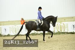24R13_12667 proof