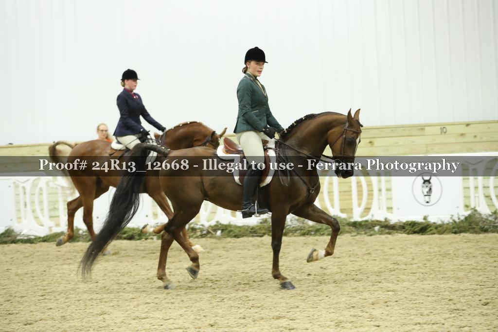 Proof 24R13_12668