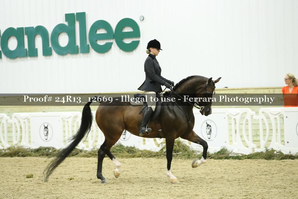 Proof 24R13_12669