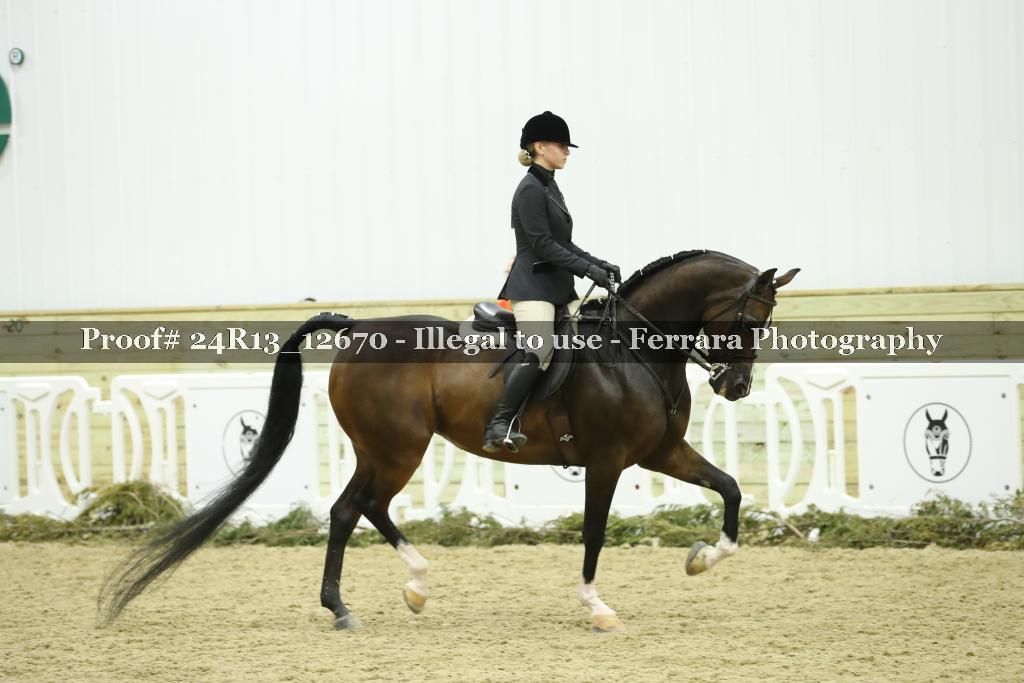 Proof 24R13_12670