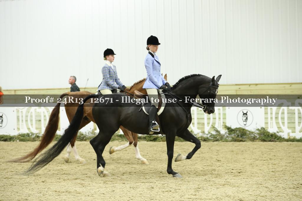 Proof 24R13_12671