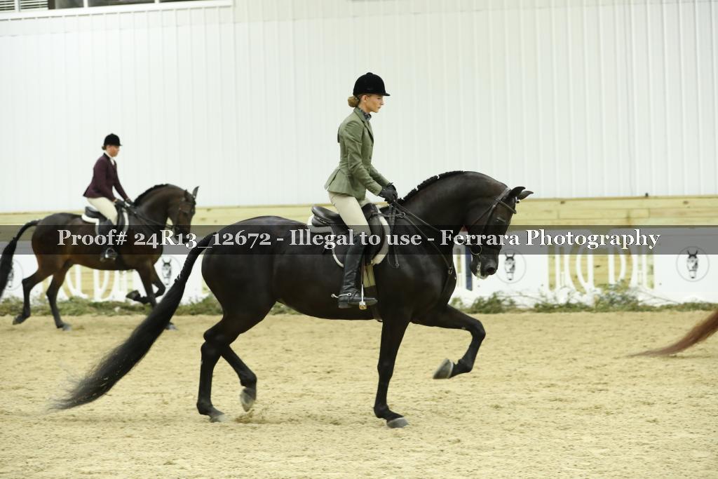 Proof 24R13_12672