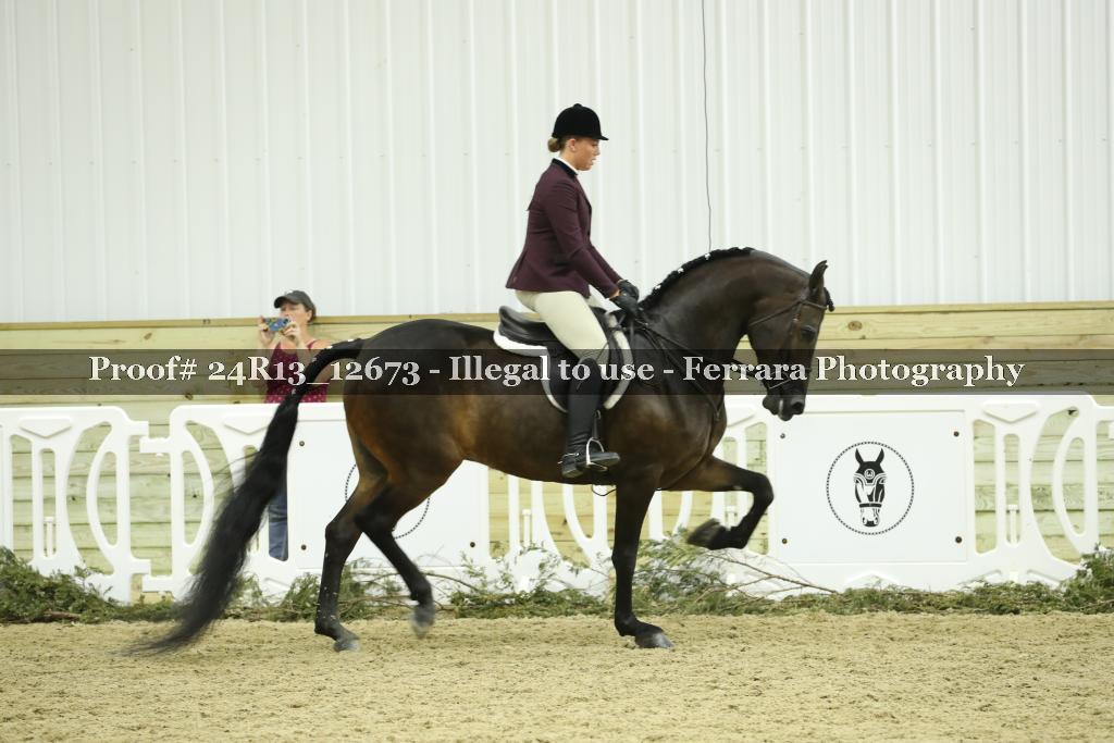 Proof 24R13_12673