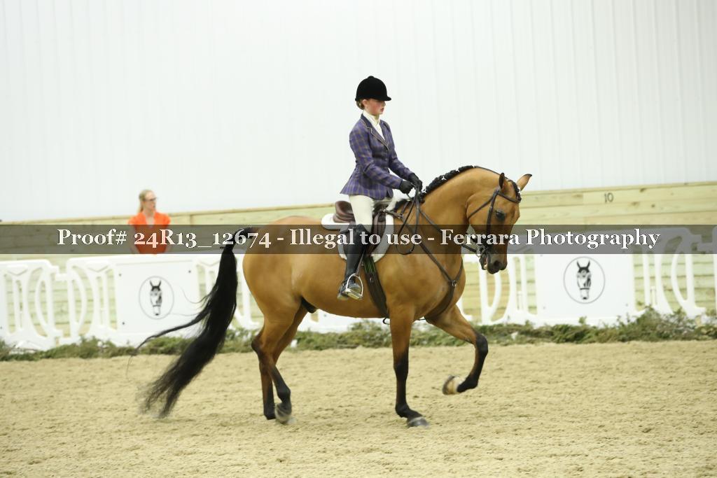 Proof 24R13_12674