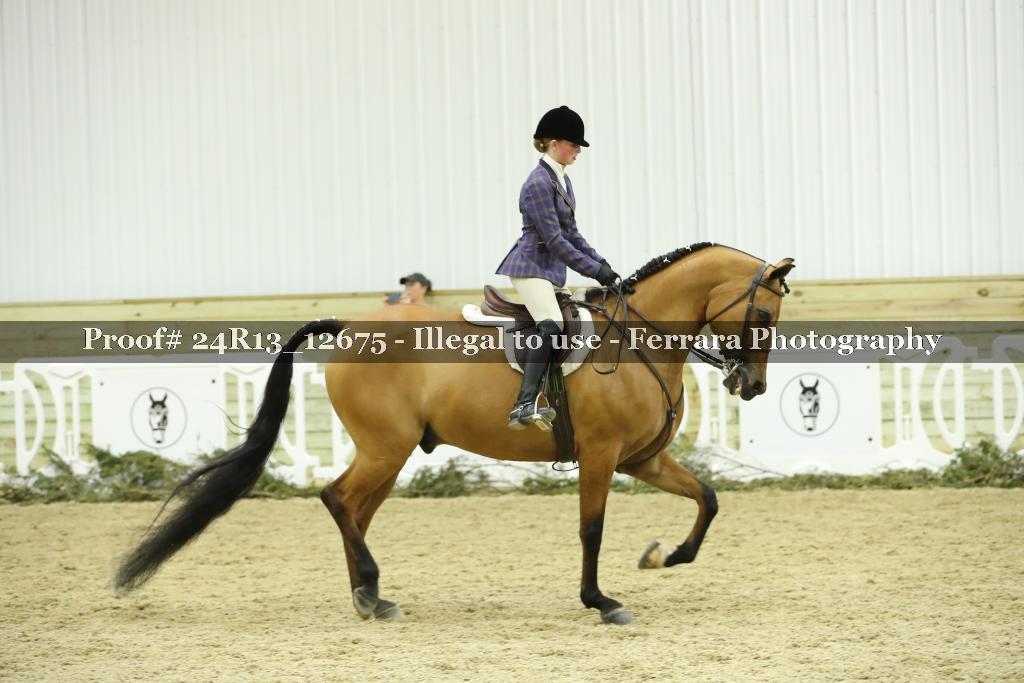 Proof 24R13_12675