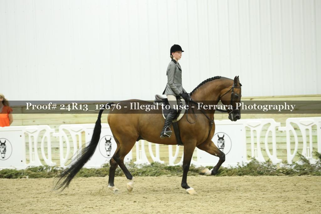 Proof 24R13_12676