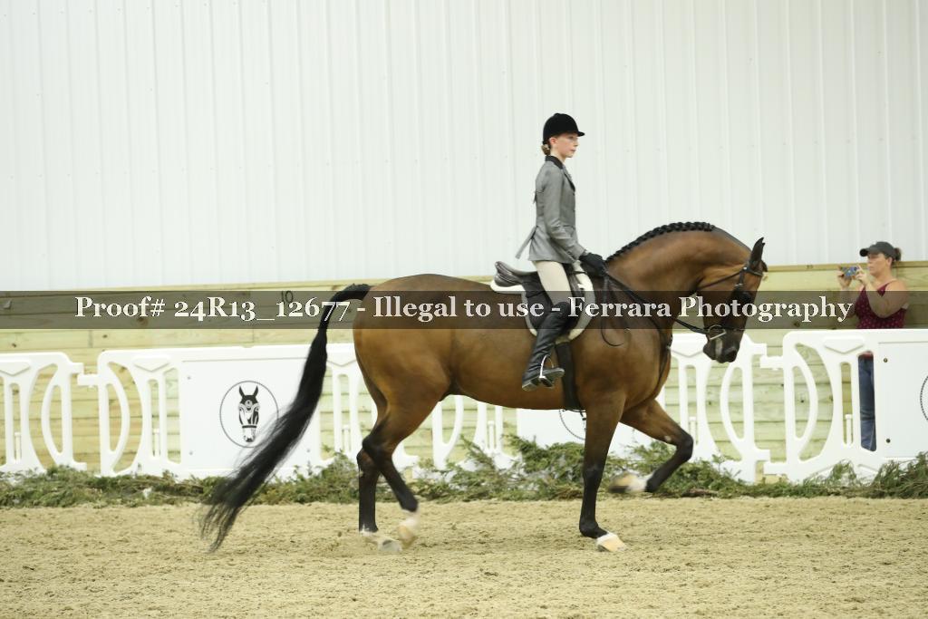 Proof 24R13_12677