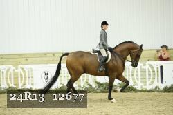 24R13_12677 proof