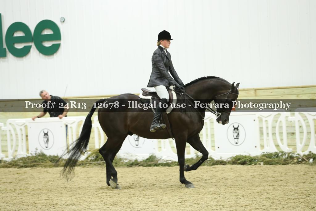 Proof 24R13_12678
