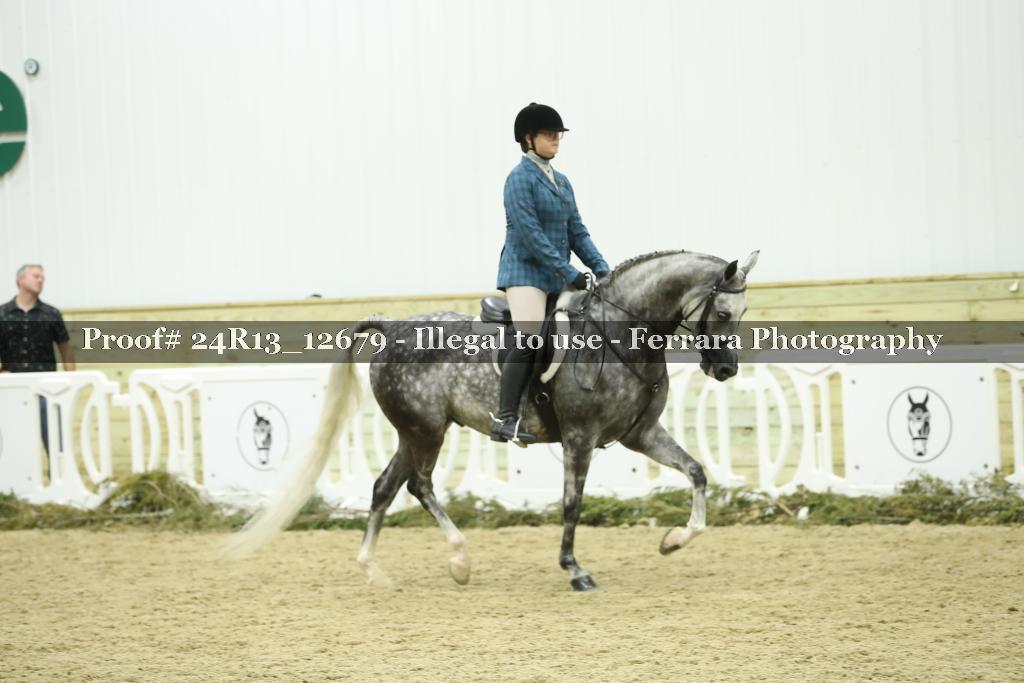 Proof 24R13_12679