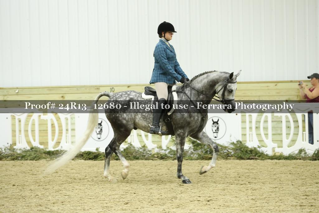 Proof 24R13_12680