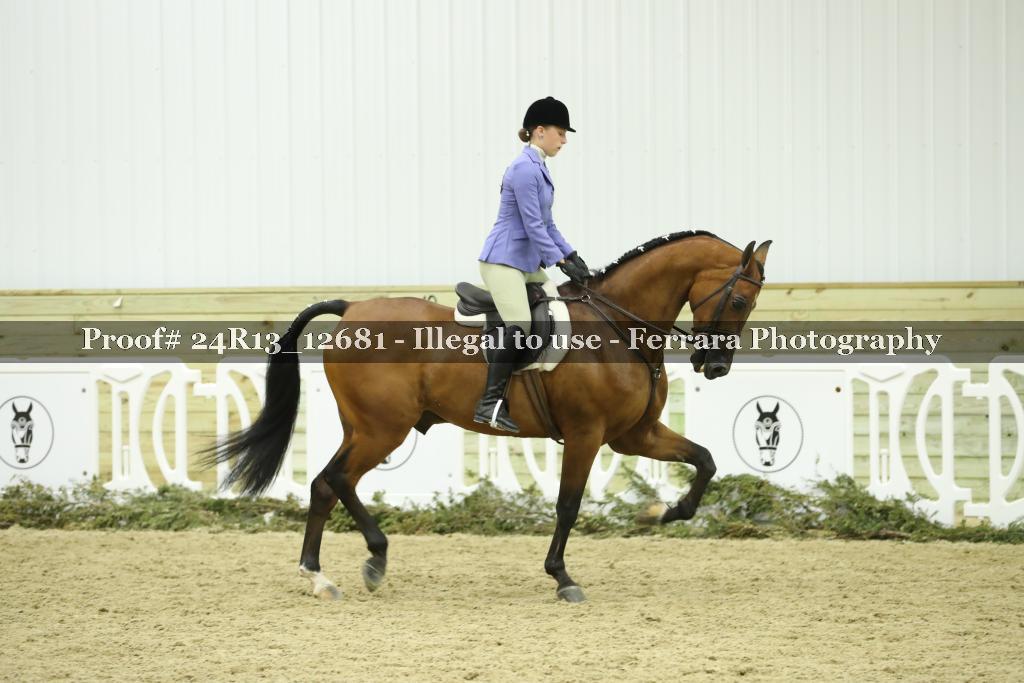 Proof 24R13_12681
