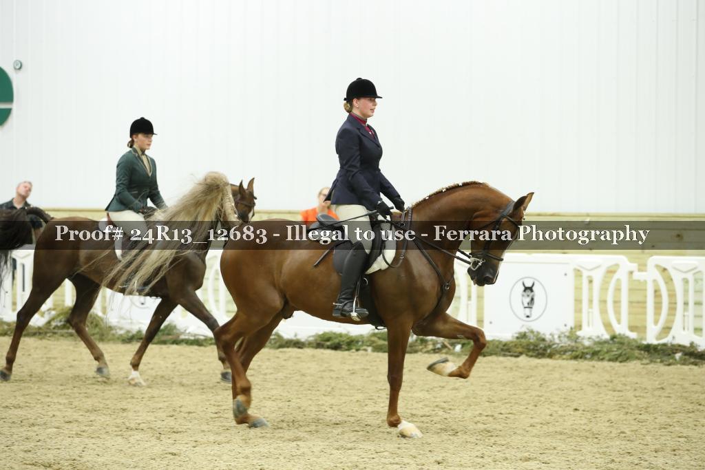 Proof 24R13_12683