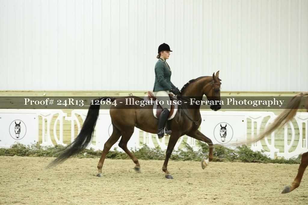 Proof 24R13_12684