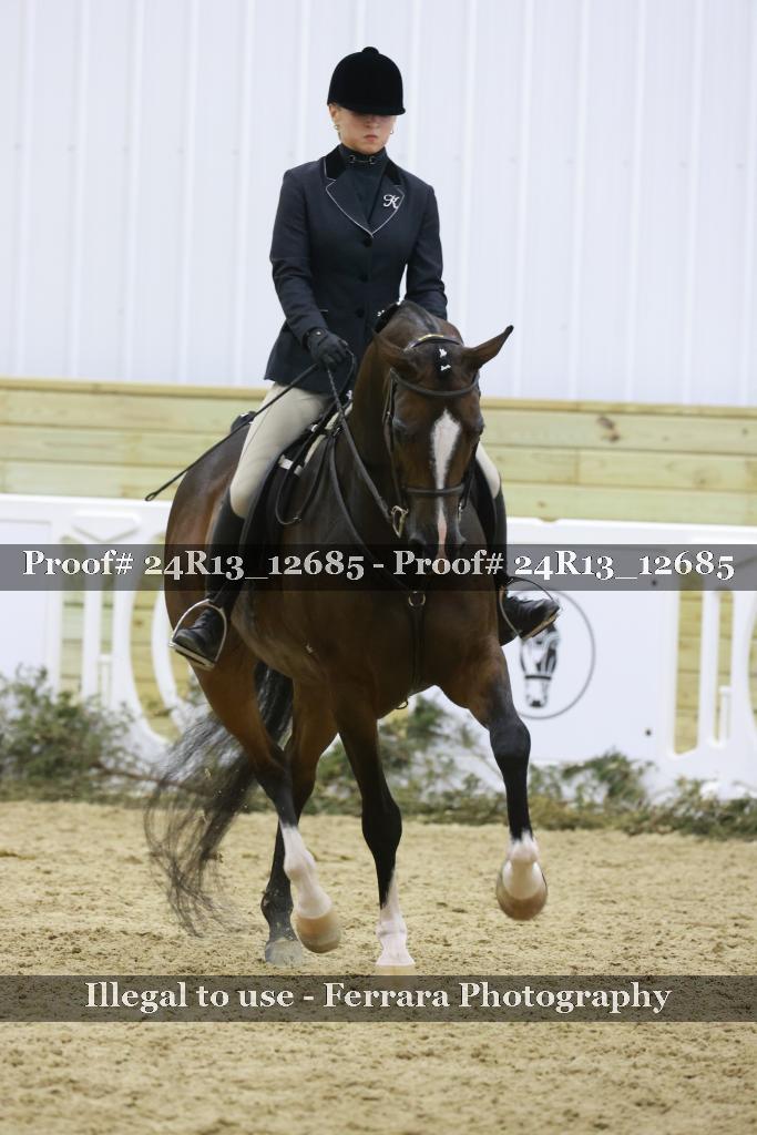 Proof 24R13_12685