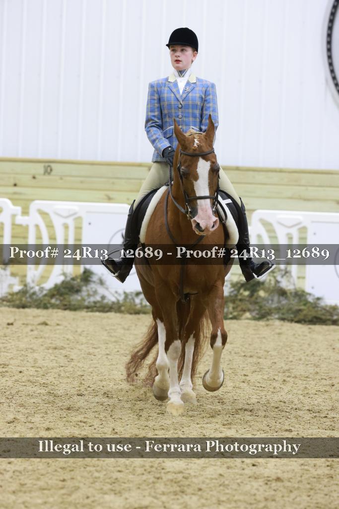 Proof 24R13_12689