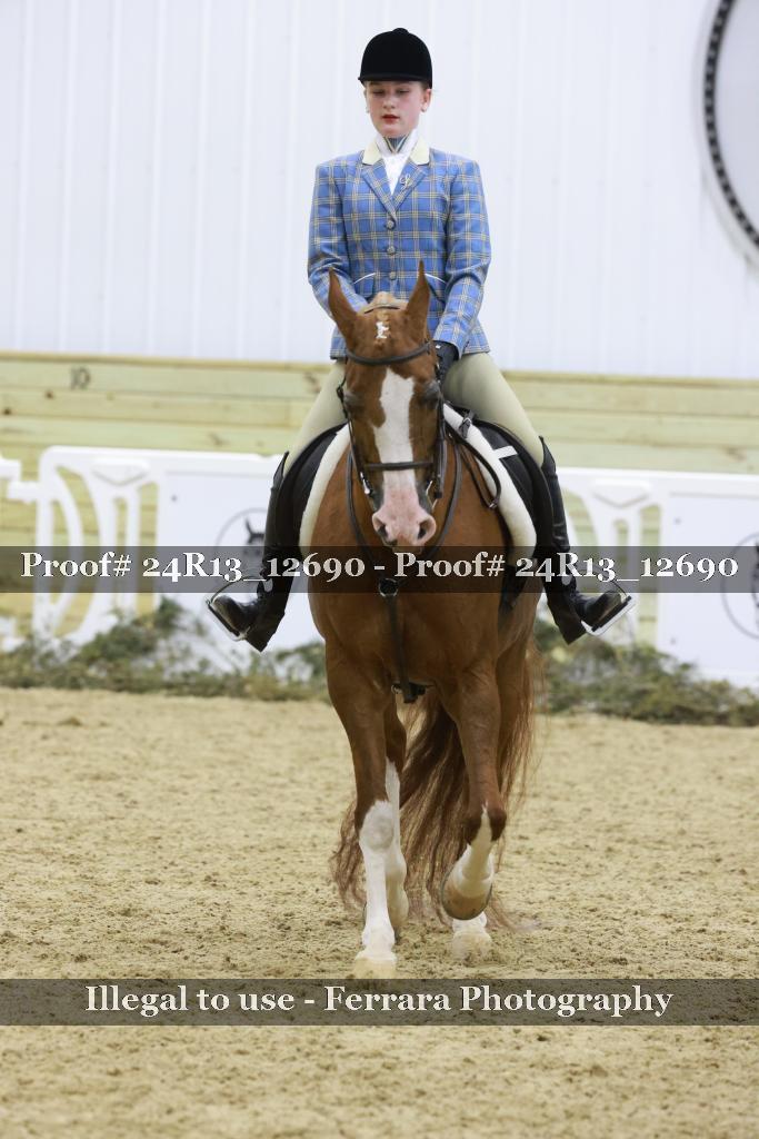 Proof 24R13_12690
