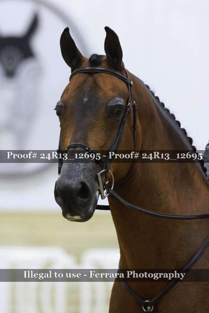 Proof 24R13_12695
