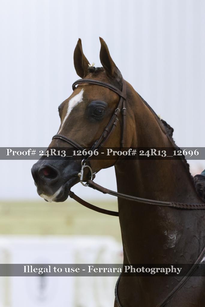 Proof 24R13_12696