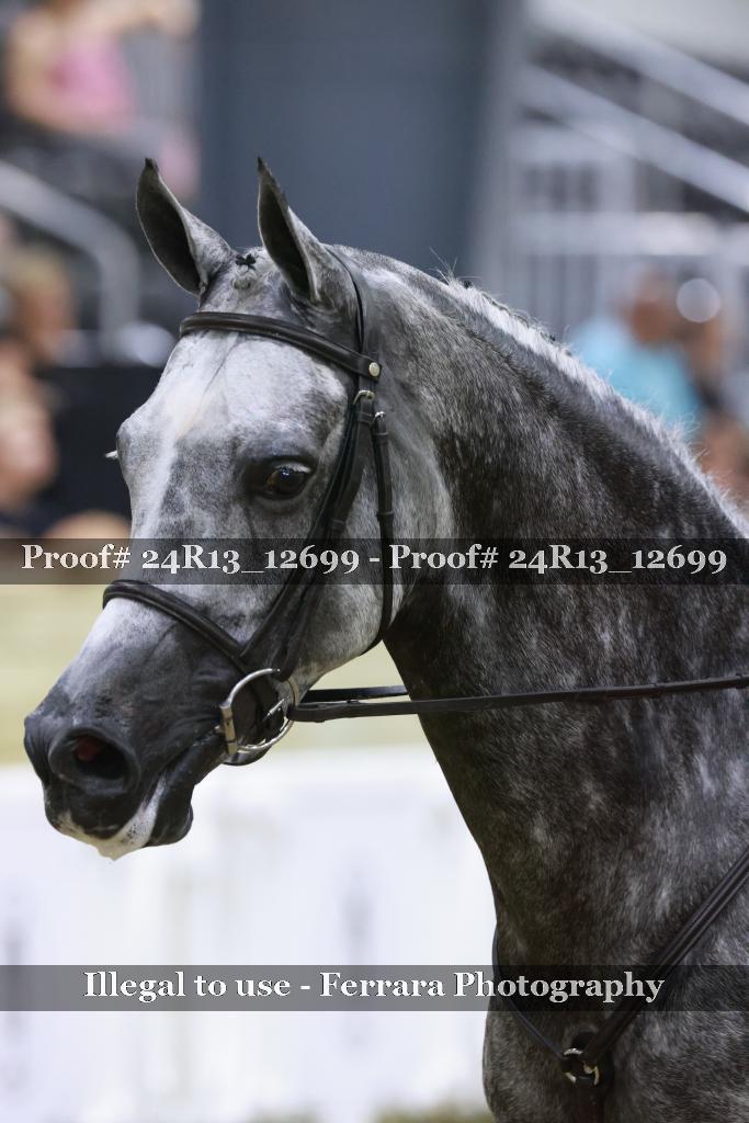 Proof 24R13_12699