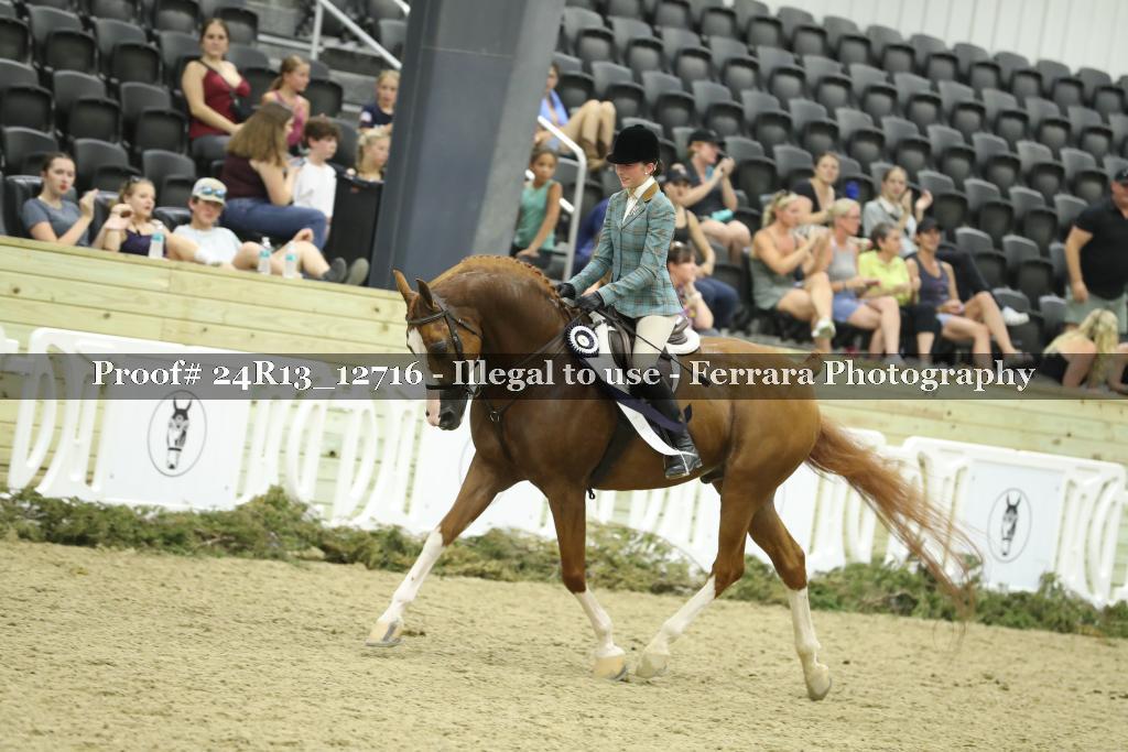 Proof 24R13_12716