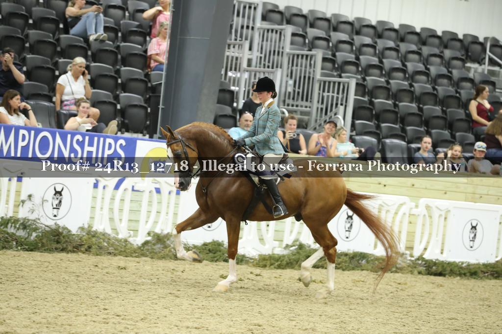 Proof 24R13_12718