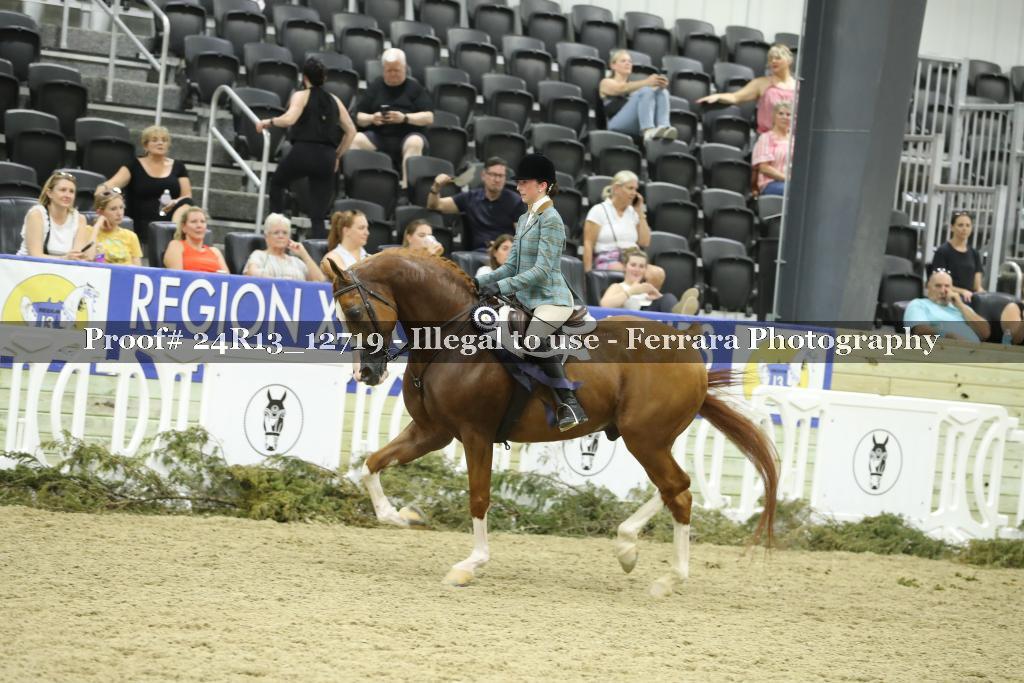 Proof 24R13_12719
