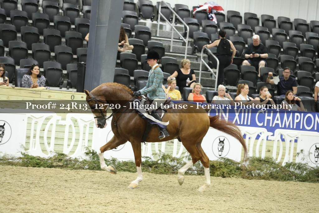 Proof 24R13_12720