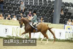 24R13_12721 proof
