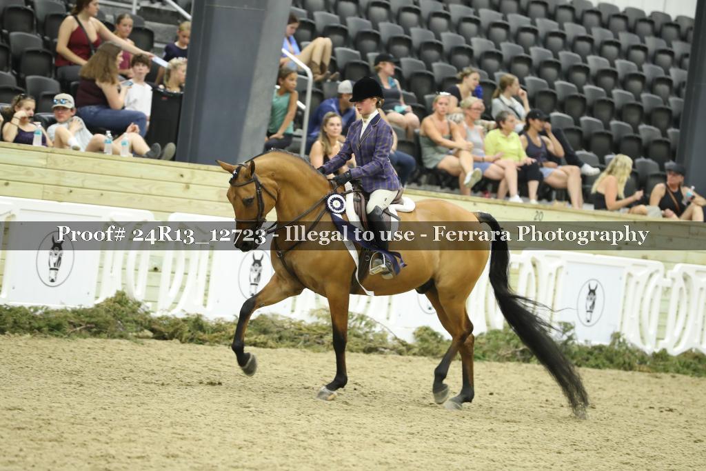 Proof 24R13_12723