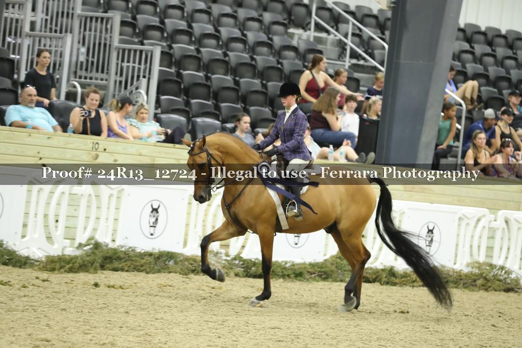 Proof 24R13_12724